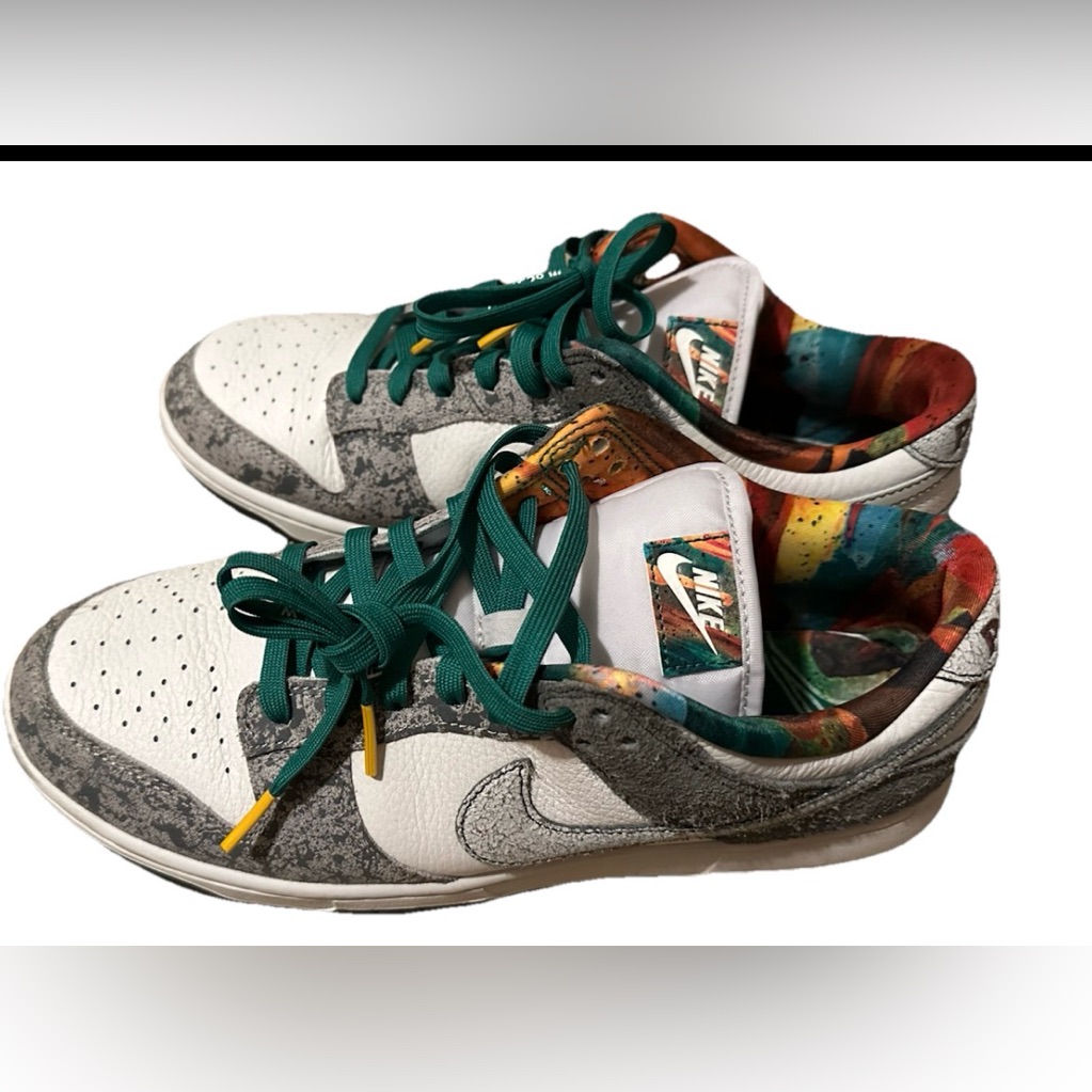 Nike Dunk Premium Low Philly